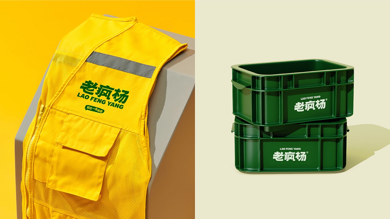 《老疯杨》宠物品牌全案设计——给它一生欢喜