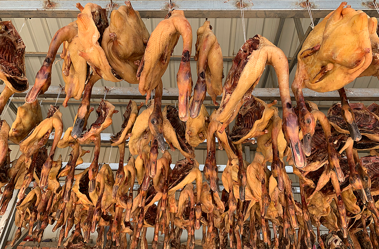 安宁河谷1500米×此山｜与西昌政府合作的大米品牌全案（图ZMzQxMjg3MjIw） - 品牌 - 站酷设计师此山品牌设计原创素材 - 站酷ZCOOL