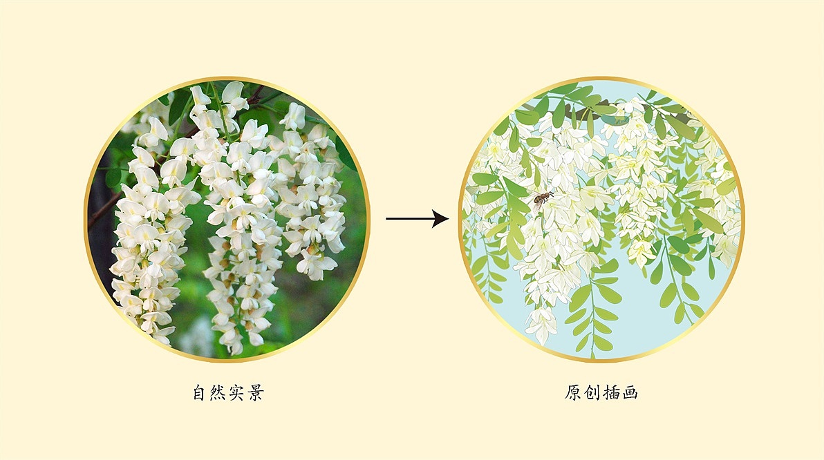至觉案例丨武行金蜂：蜂蜜包装设计