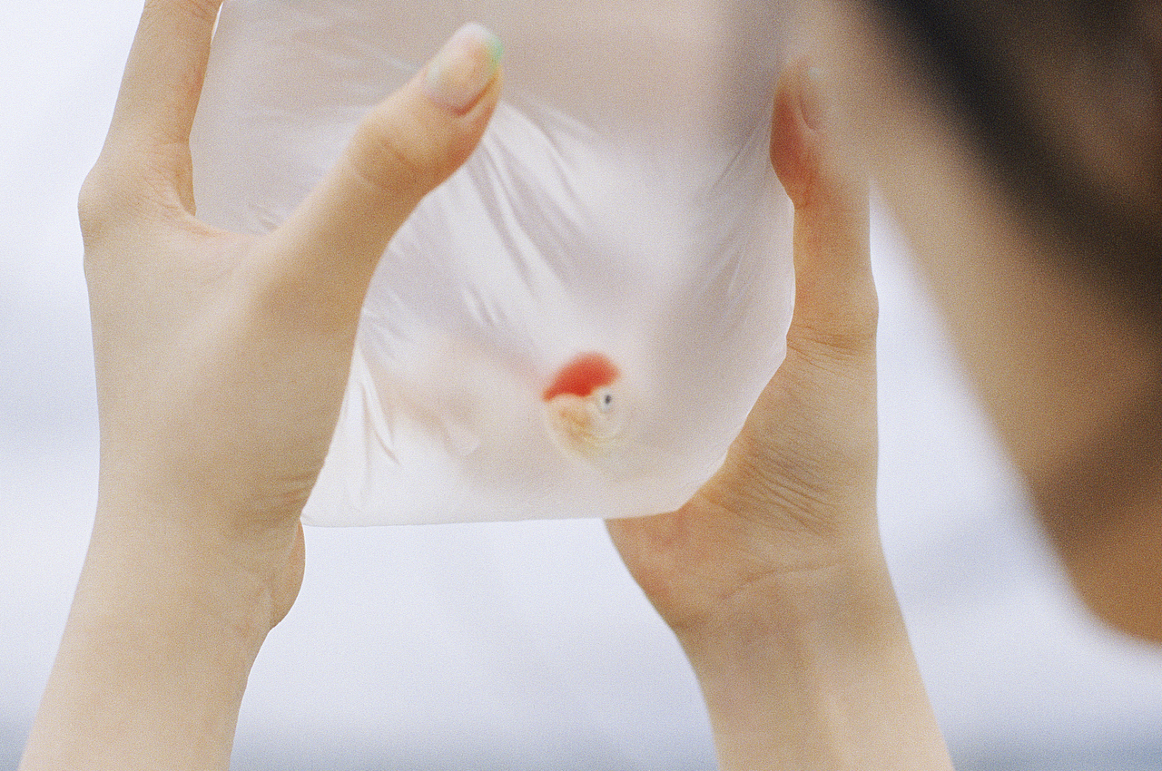 18岁的夏天,39℃的风