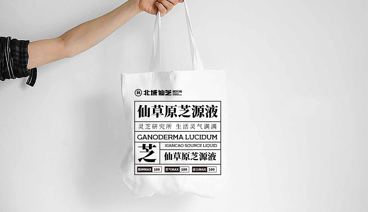 迪驰设计方案【北域仙芝】