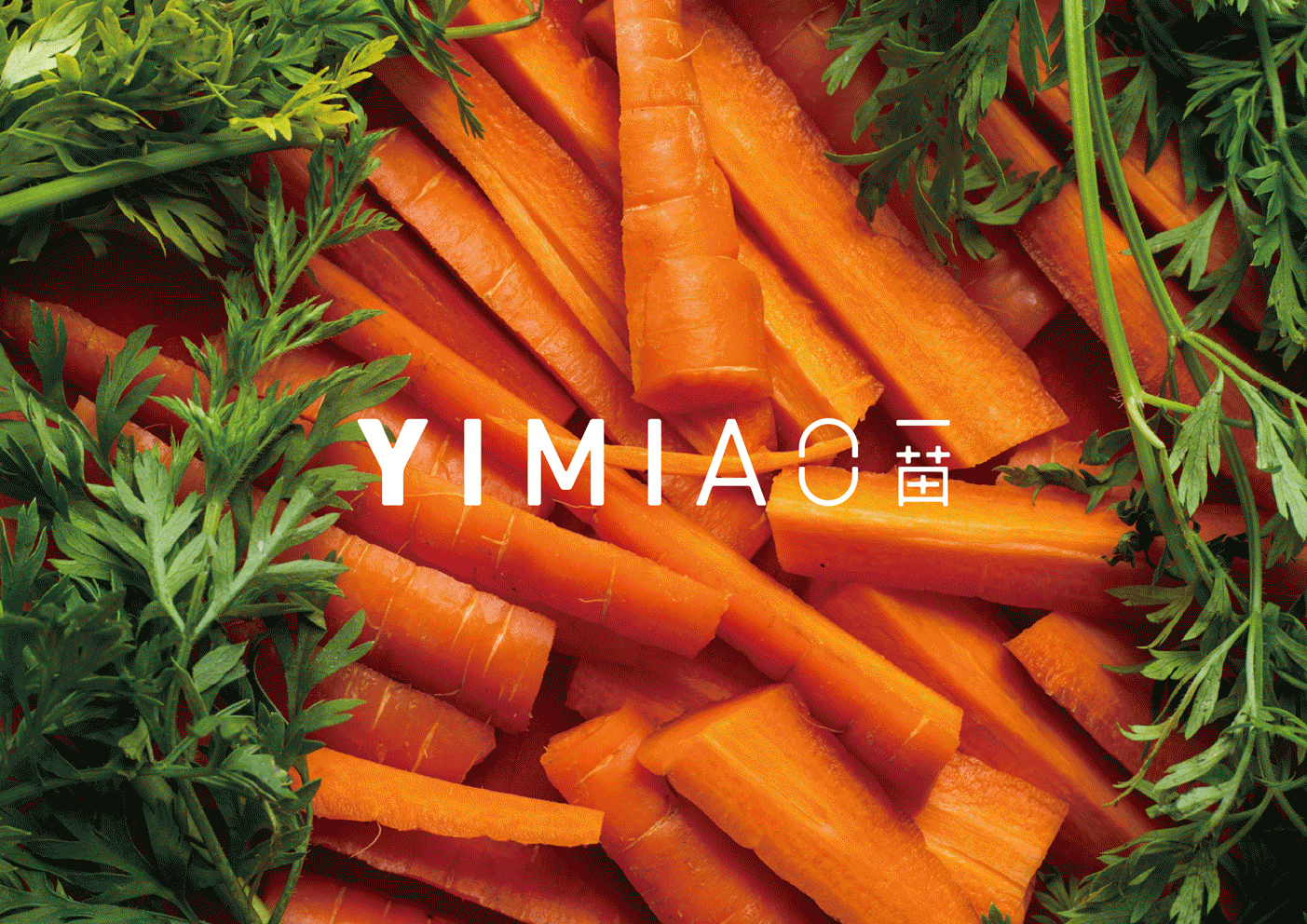 YIMIAO一苗 - 品牌VI设计（图ZMzA4MzQyNjY0） - 品牌 - 站酷设计师亿电设eDeSIGN原创素材 - 站酷ZCOOL