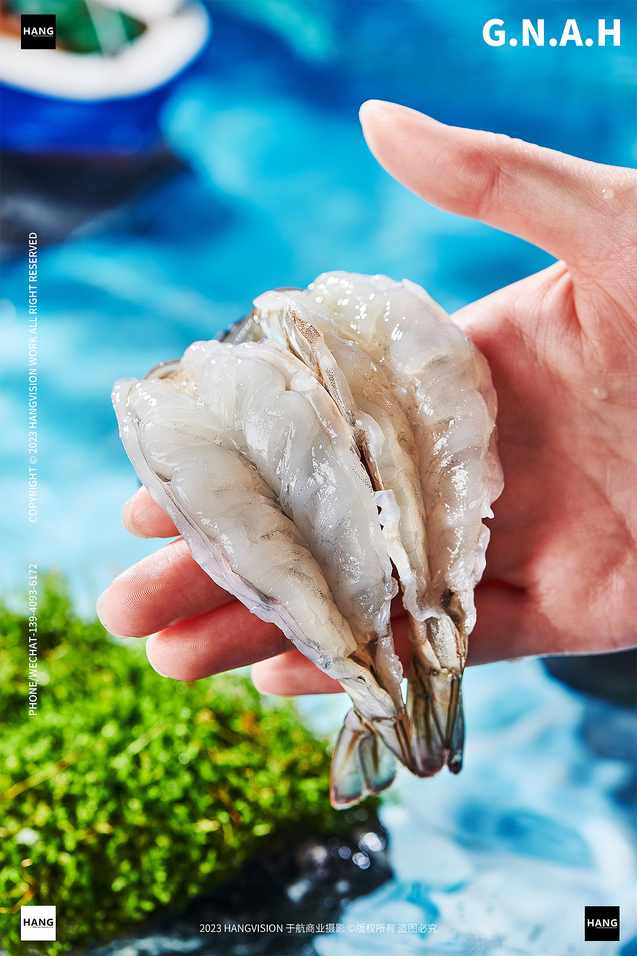 活虾厄瓜多尔白虾海鲜基围虾活鲜青岛大虾大连海鲜拍摄