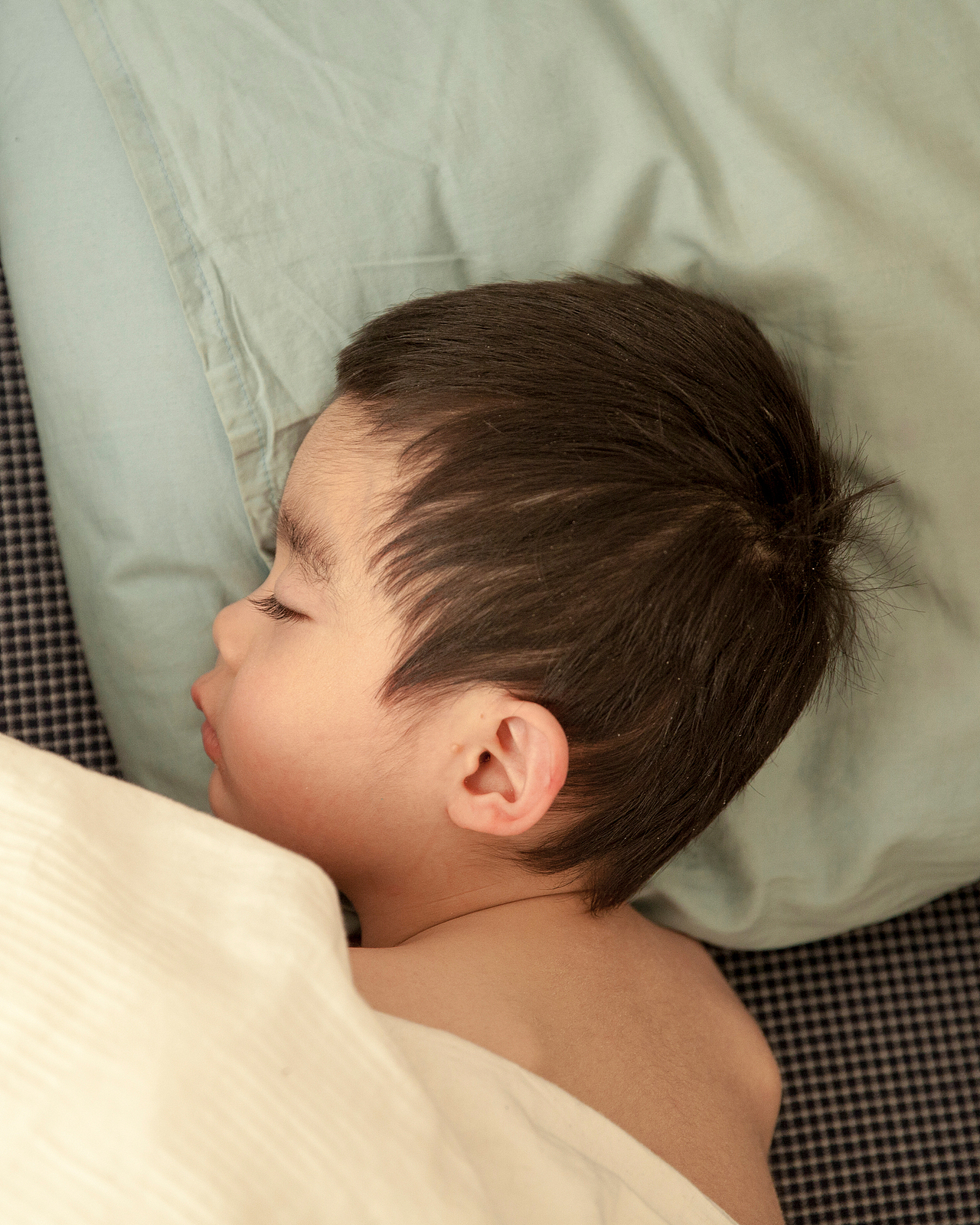 WEEK 2 2023 八斤的成长周记录