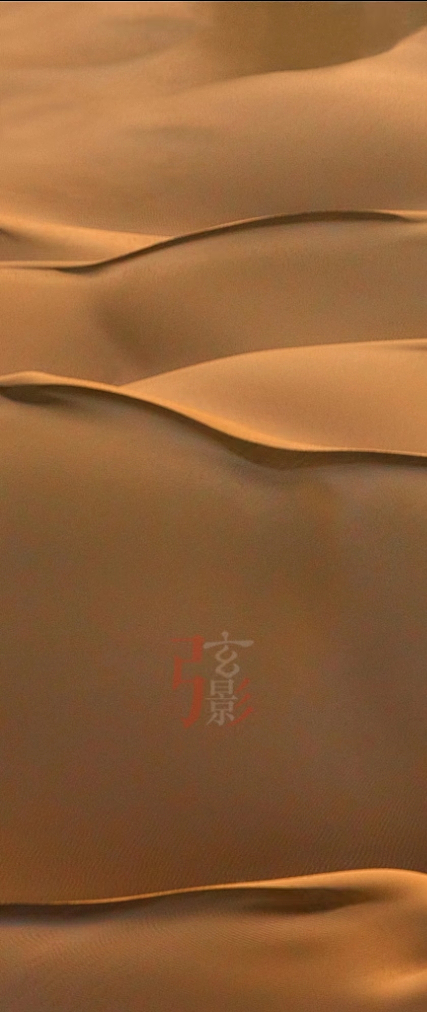 摄影—金色沙漠摄影