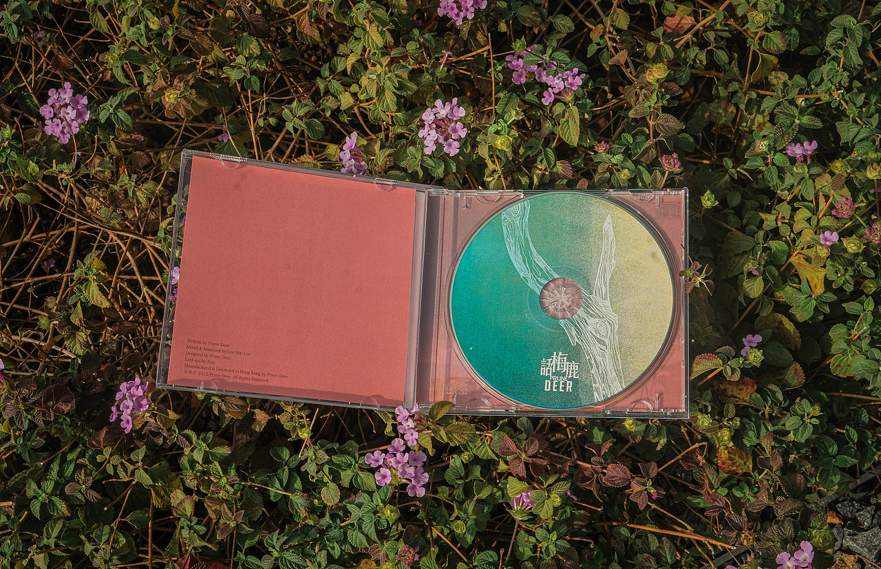 专辑设计 | 实心透明 / 化学 / 邮资不足 新版 话梅鹿