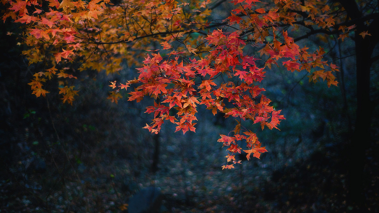 16:9和18:9（图ZMzIzNDQ0MjQ0） - 风光摄影 - 站酷设计师amhx原创素材 - 站酷ZCOOL