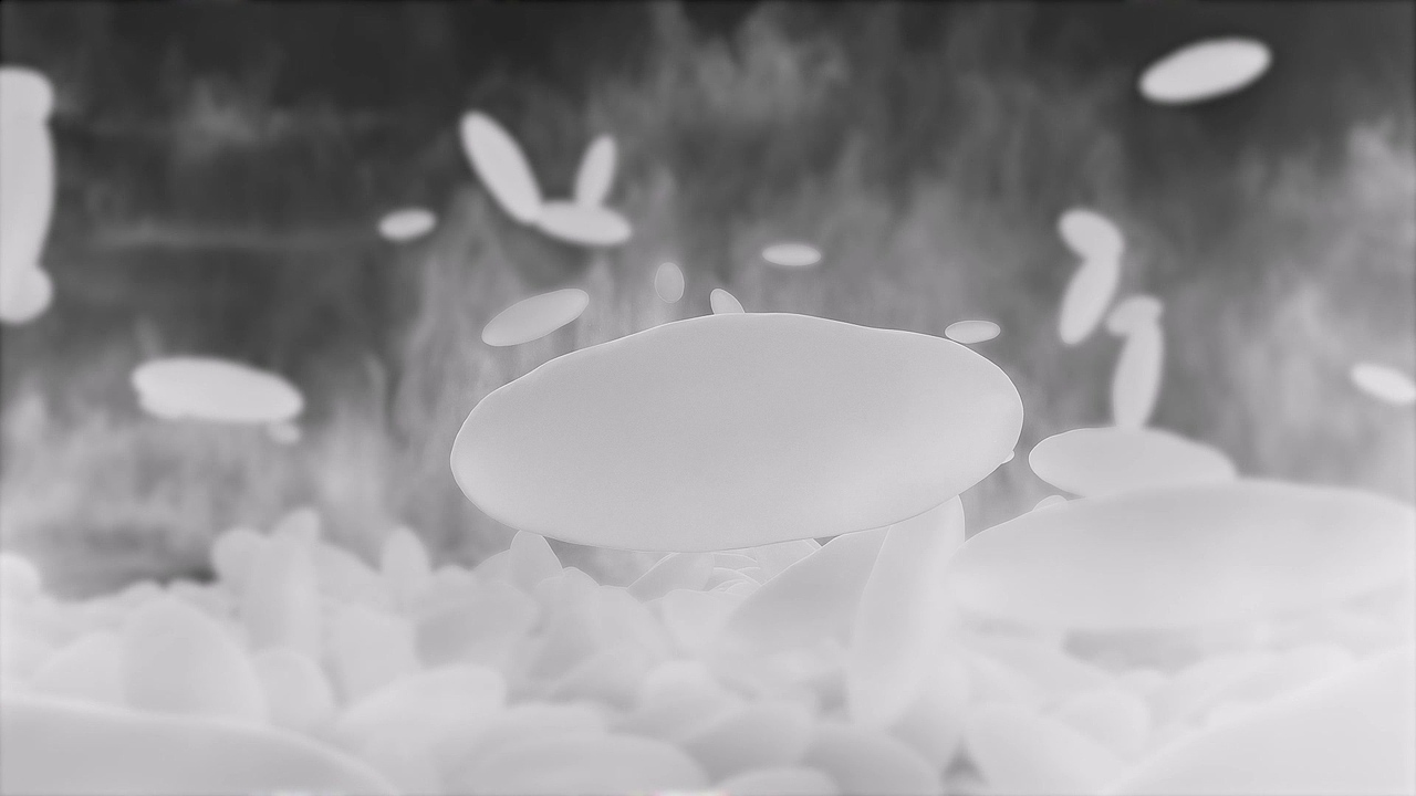 九阳电饭煲三维动态临摹（图ZMzUwMDU2NTM2） - 产品 - 站酷设计师缓十一原创素材 - 站酷ZCOOL