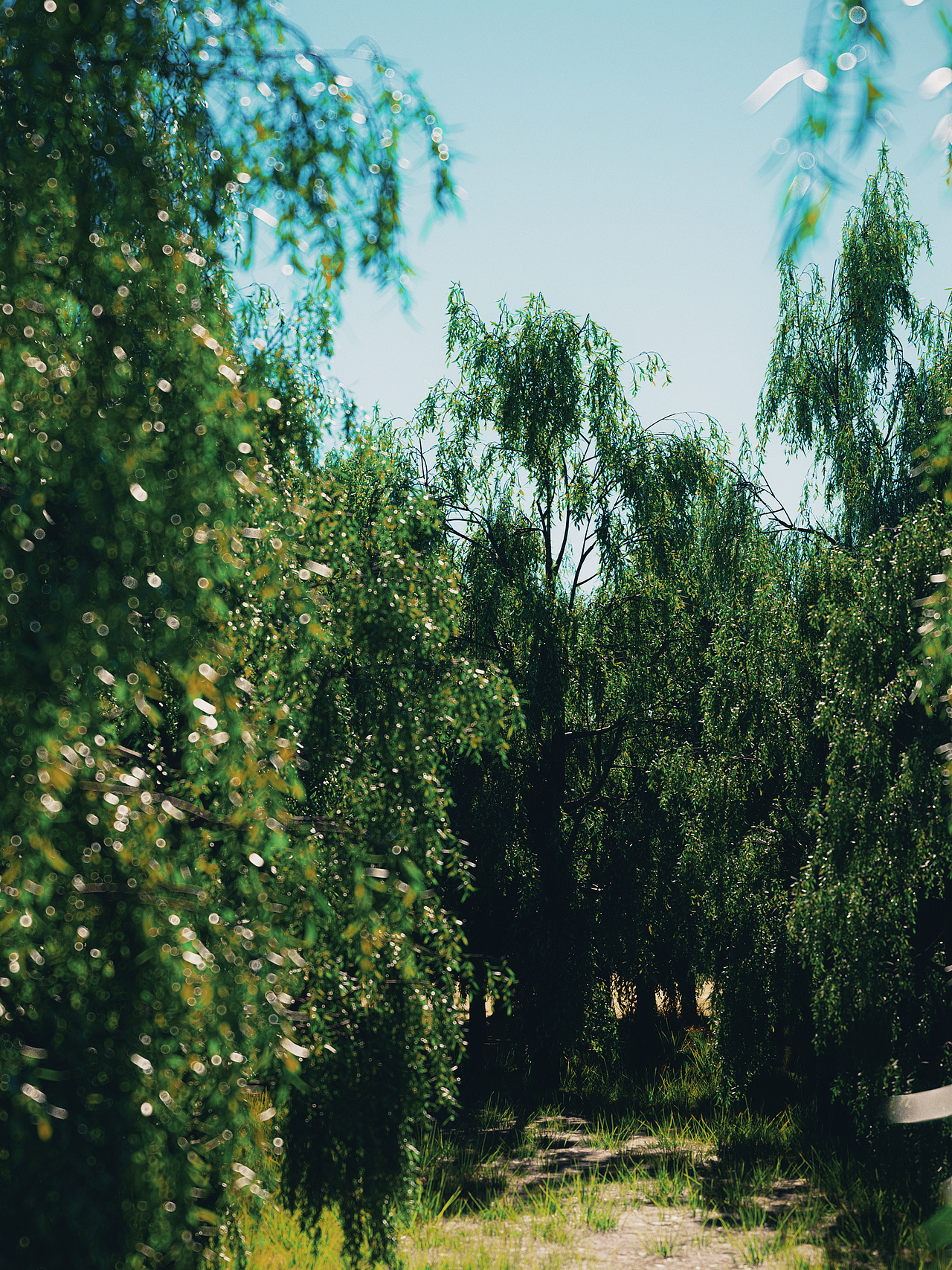 之前做的一些C4D练习作品（图ZMzQ4NzAyMDc2） - 其他三维 - 站酷设计师烟雨楼忆相思原创素材 - 站酷ZCOOL