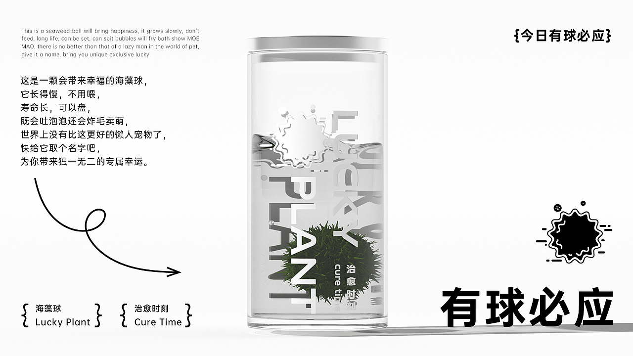 vivo 生日礼盒设计方案