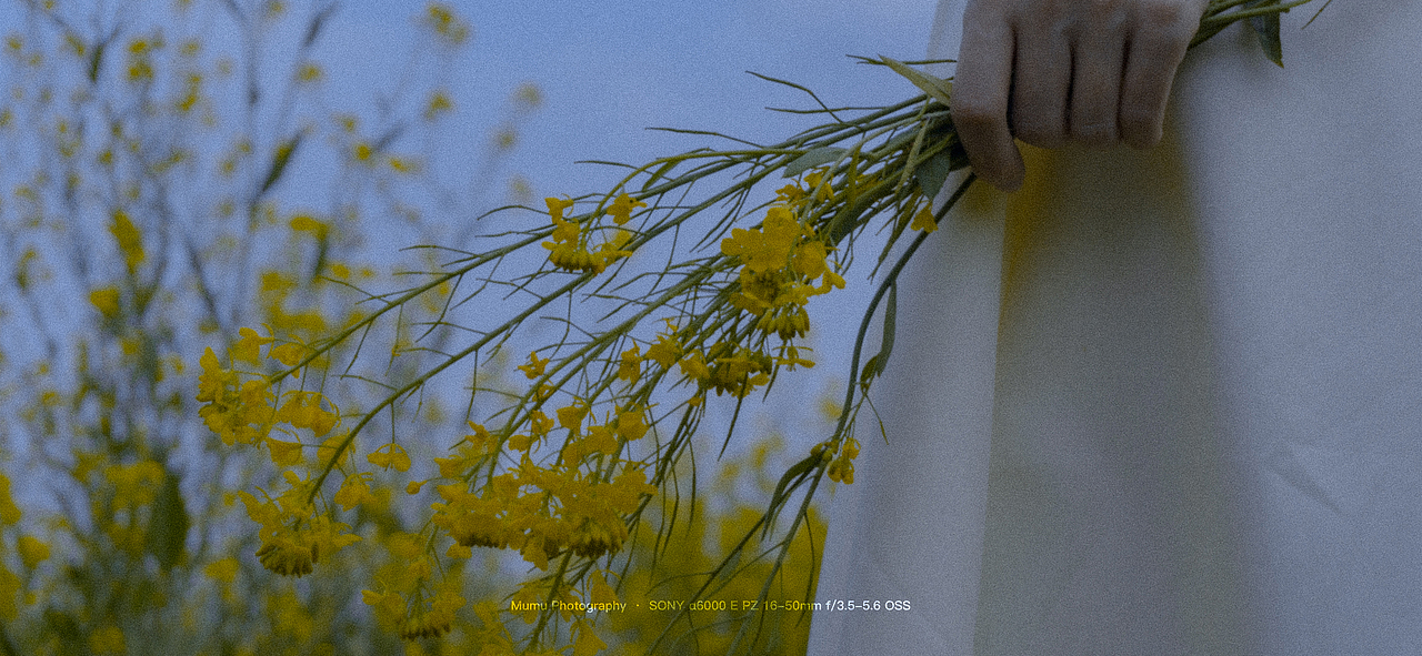 Passage 14.黄花