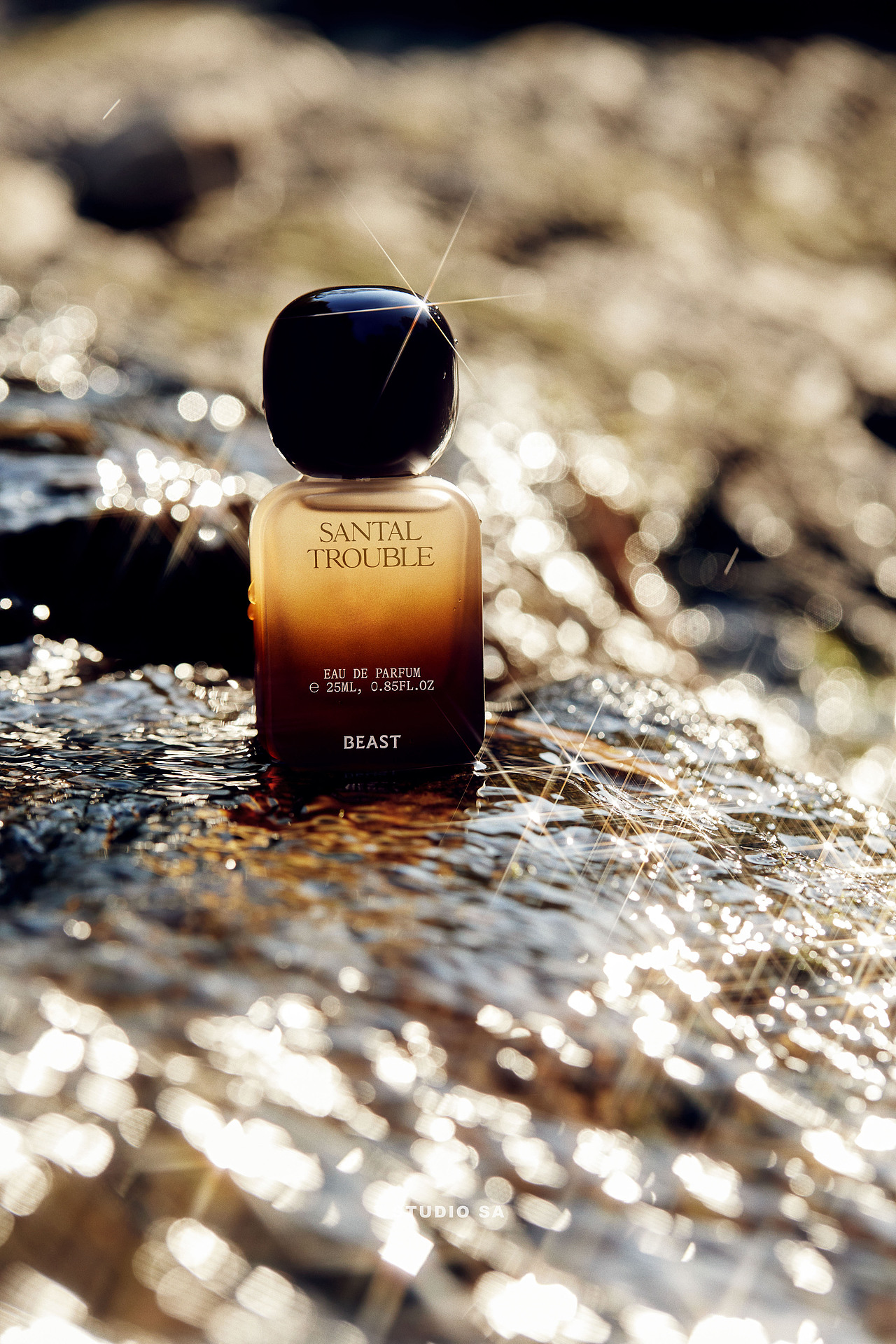 野兽派|无忌之檀