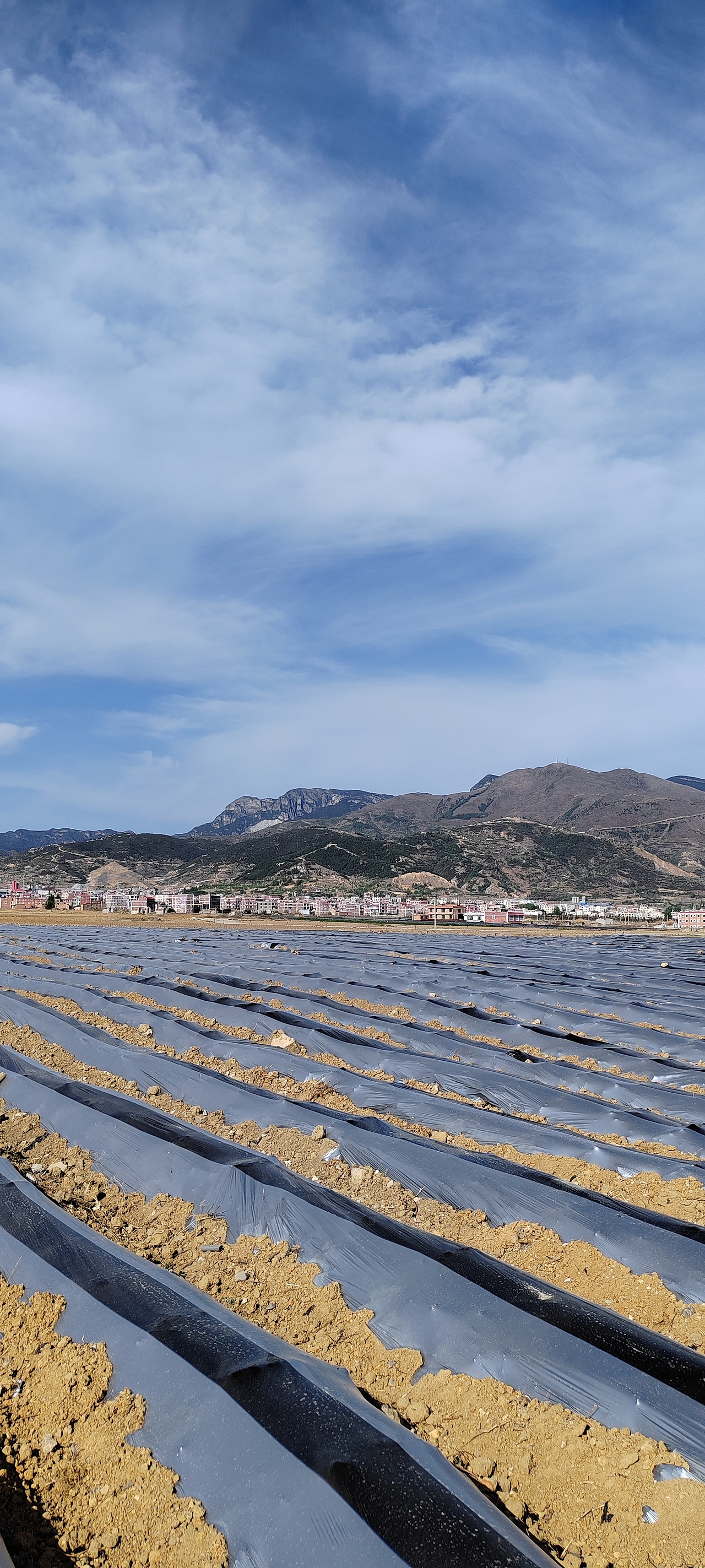 闲行偶记 | 记录又一次瞎拍乱逛（图ZMzY4NzY4Njg4） - 风光摄影 - 站酷设计师宁作我设计x原创素材 - 站酷ZCOOL