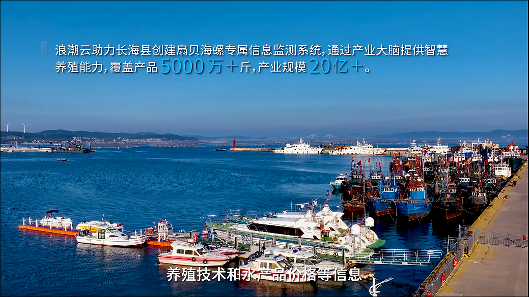 浪潮长海乘数远航