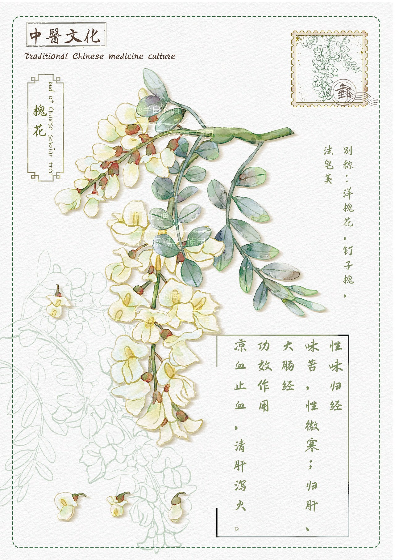 中草药插画（图ZMzYxMTYxODE2） - 商业插画 - 站酷设计师半白的画原创素材 - 站酷ZCOOL