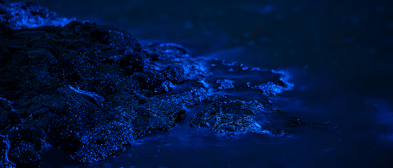 使用 SONY A7M4 搭配 SONY Sonnar T* FE 55mm F1.8 ZA 拍摄