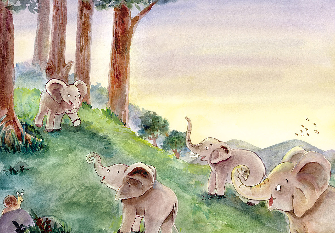 走失的小象绘本