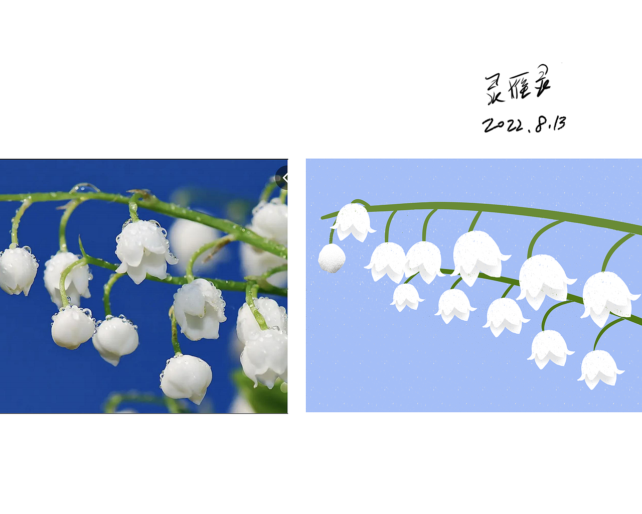 花卉寫生（圖ZMzEyNjE2Mzcy） - 商業(yè)插畫 - 站酷設(shè)計師靈雁靈原創(chuàng)素材 - 站酷ZCOOL