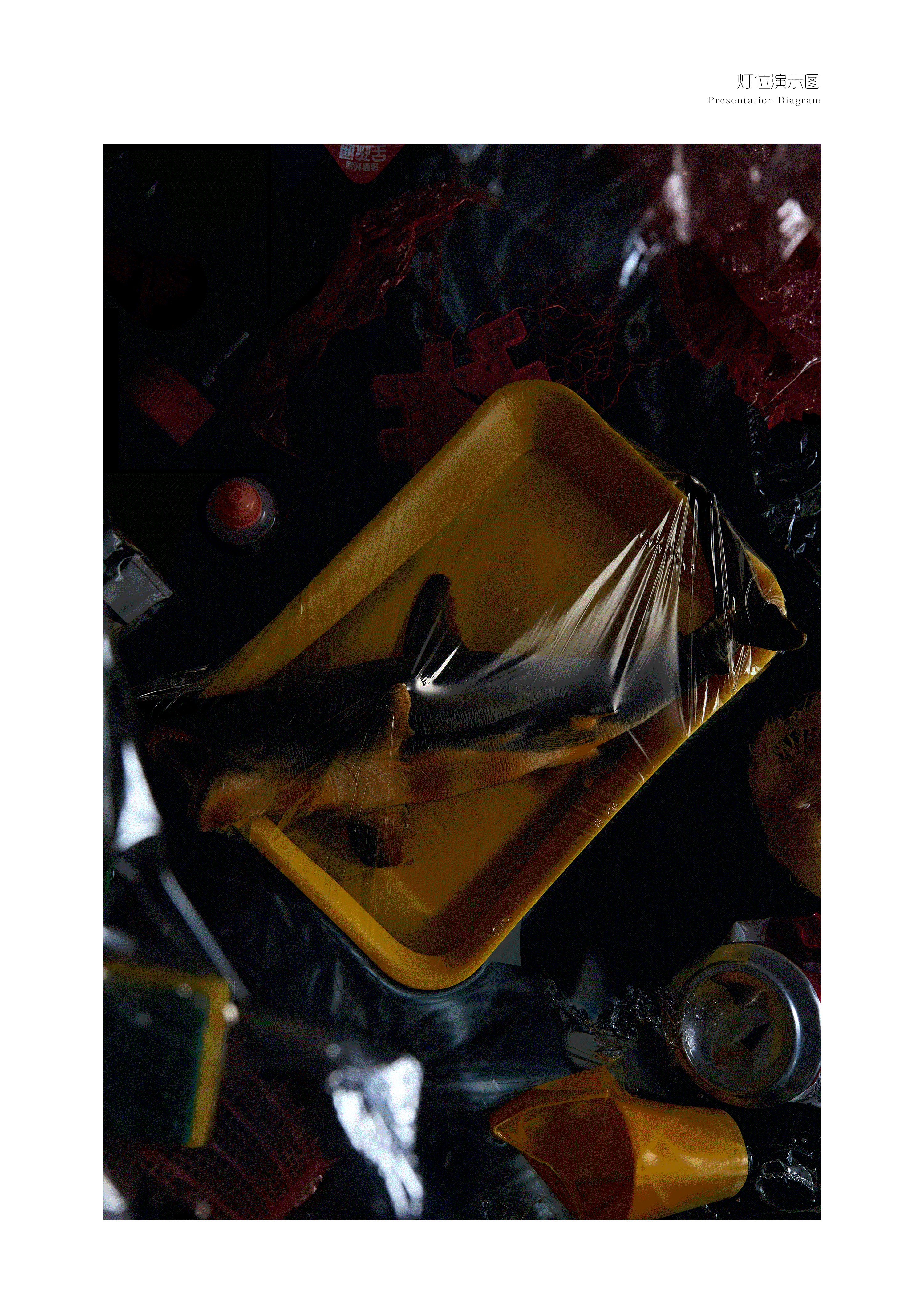 在拍这组创作时,Ai做图开始兴起,焦虑过程中也在**
环保议题创作在Ai里可能就十几分钟的事而我要花费百倍甚至更多的时间来完成<br>换成其他人,可能会选择放弃,但!我是个较劲的人❗️决定坚持到底(异常固zhi,顽gu不化)