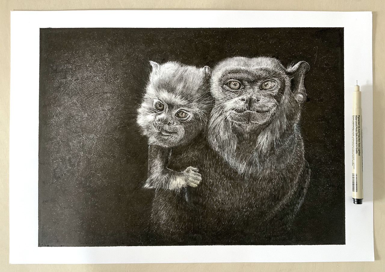 钢笔画写实——动物合集