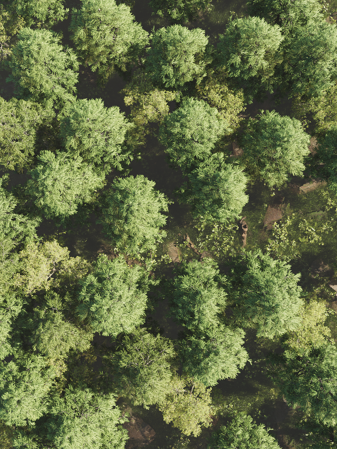巴拉巴拉倍安丝木源面料动态设计