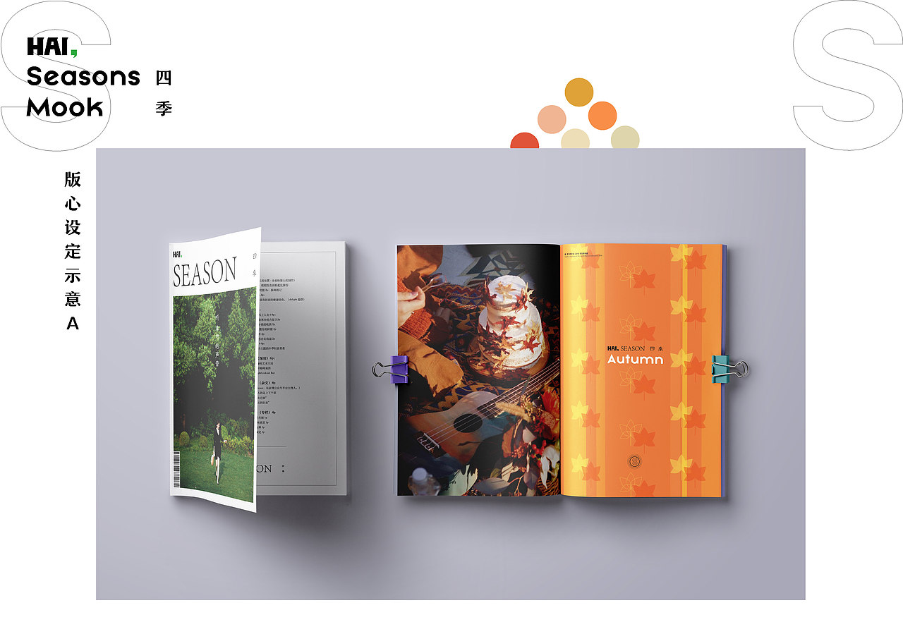 MOOK 杂志书设计（概念方案）（图ZMzQxMDE2MDI0） - 书籍/画册 - 站酷设计师玩耍色彩_RickLi原创素材 - 站酷ZCOOL