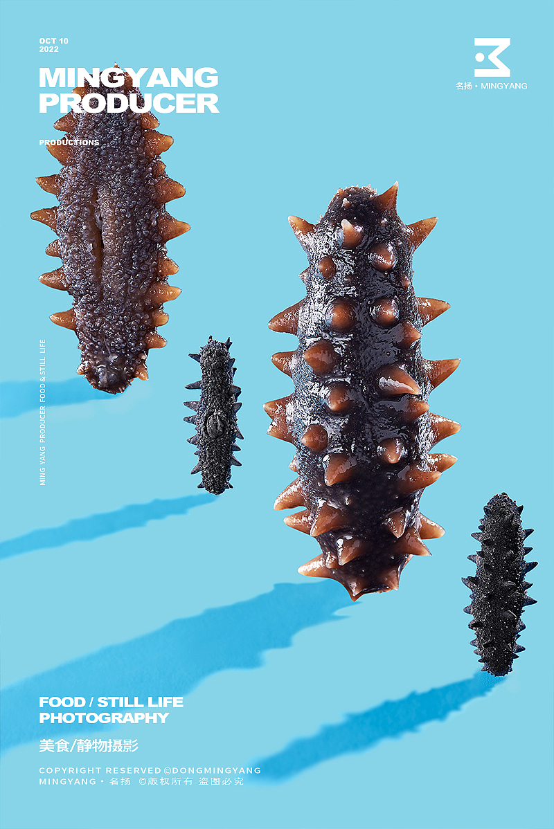 海参/即食海参/淡干海参/海参礼盒创意拍摄（图ZMzIwODc3MTQ4） - 美食摄影 - 站酷设计师摄影师董名扬原创素材 - 站酷ZCOOL