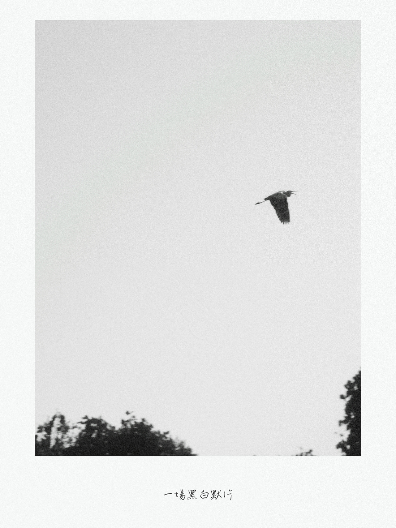 2022最後一場黑白默片