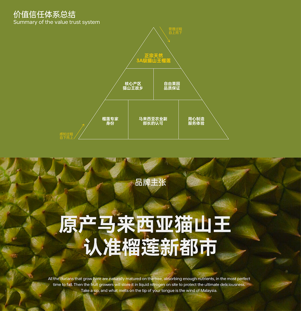 榴莲新都市 | 源自猫山王故乡的品牌