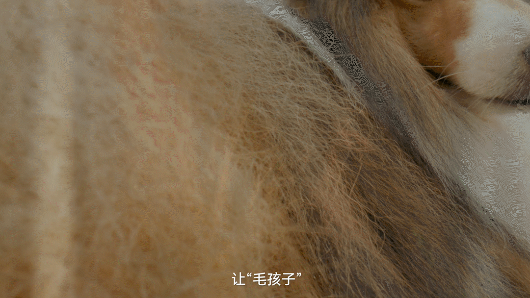 霍曼宠物智能烘干箱Ultra（图ZMzQzOTk1MzUy） - 产品摄影 - 站酷设计师功夫传媒原创素材 - 站酷ZCOOL