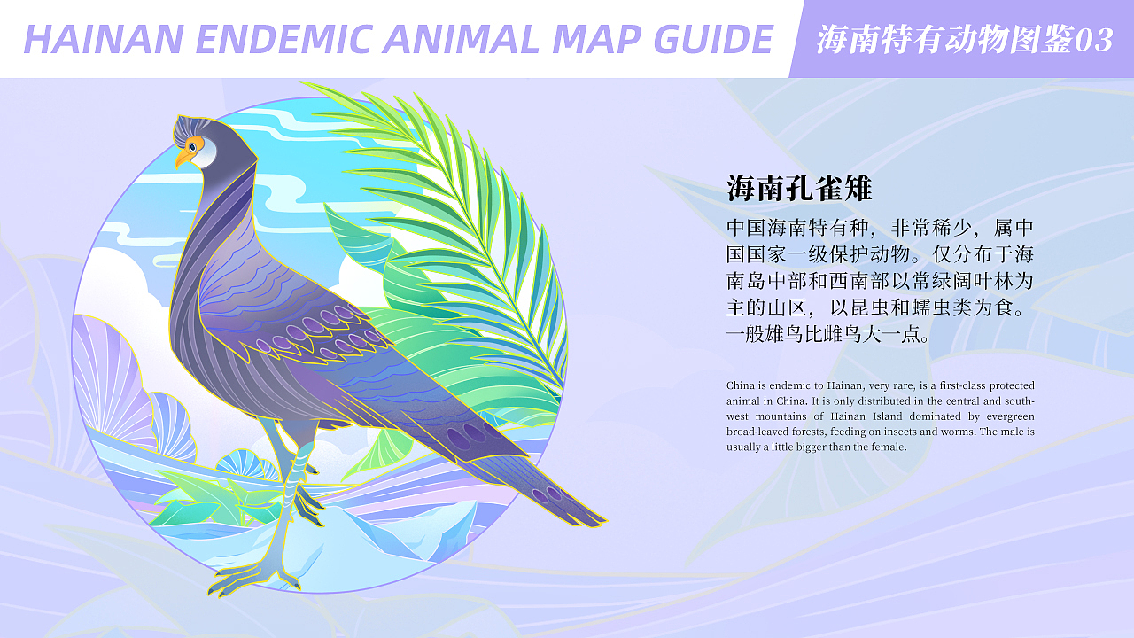 中国风潮流插画丨海南特有动物图鉴