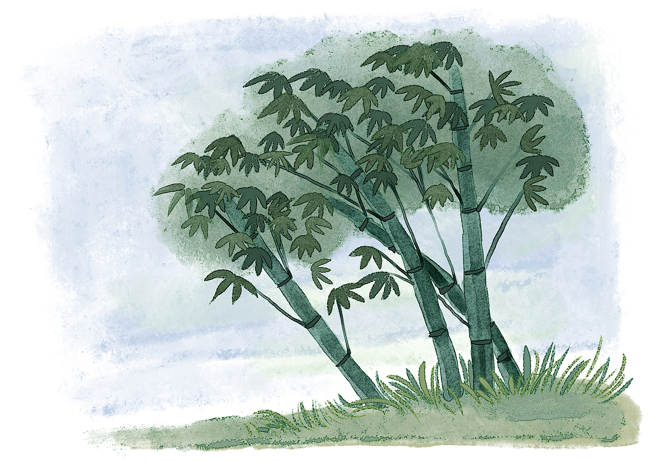 【古风插画】四川教育出版社-古诗词项目-合集4