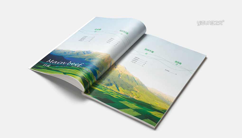 企业画册|企业宣传册|平面设计|画册设计|招商画册