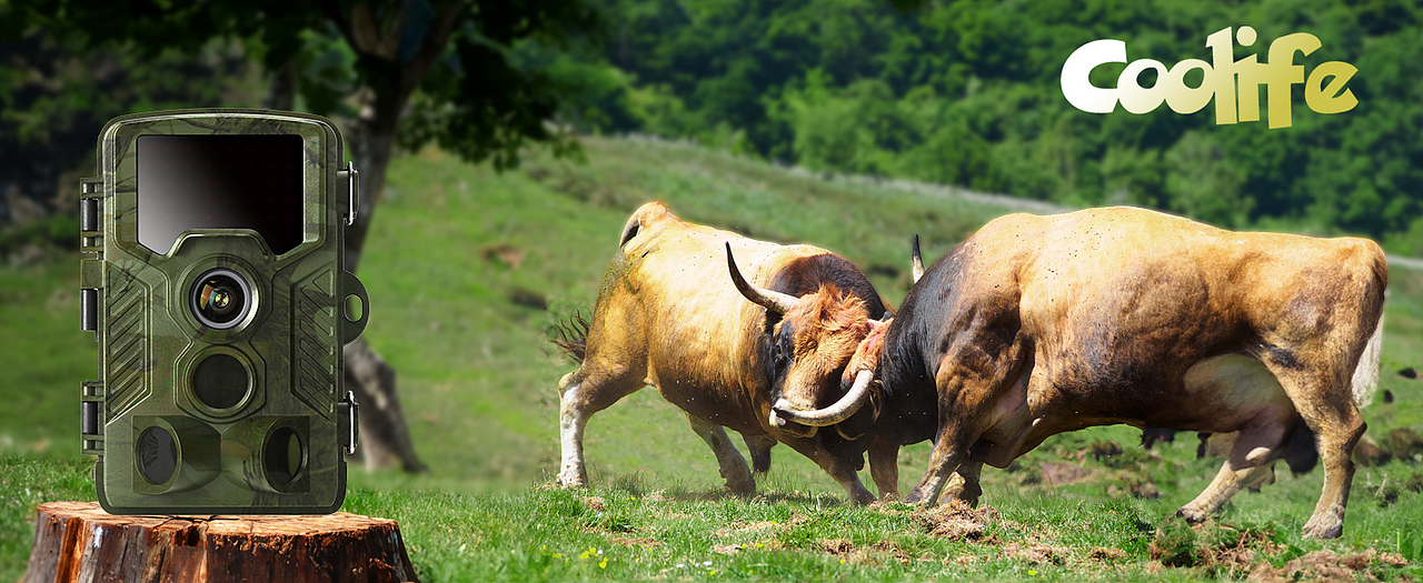 亚马逊打猎相机主图高级A+(4)