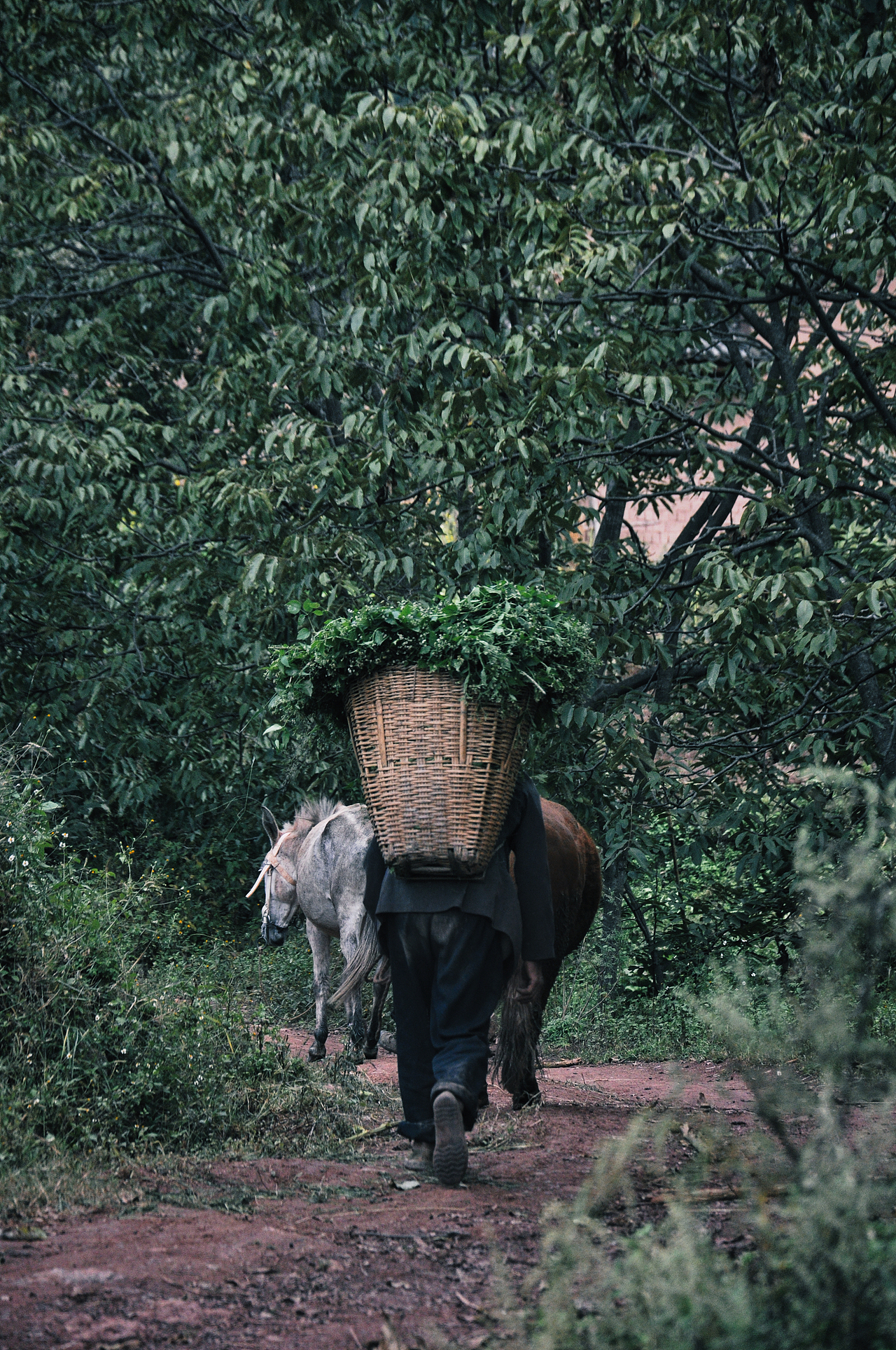 2013年国庆回家村子里（一）（图ZMzU2ODEzODky） - 人文/纪实摄影 - 站酷设计师焦虑到掉头发原创素材 - 站酷ZCOOL