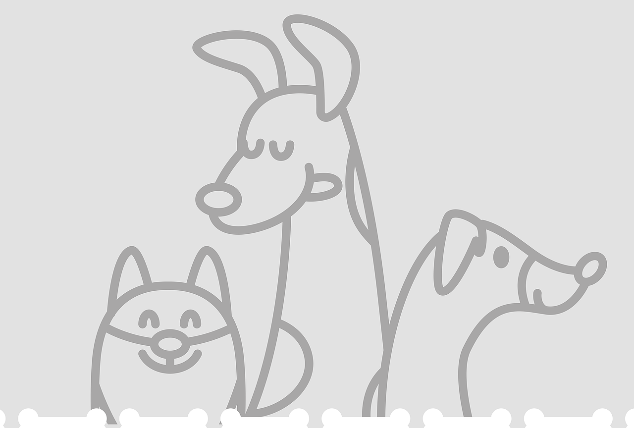 「泽润吉宠」狗粮包装设计（图ZMzQ0NzQzMzI0） - 包装 - 站酷设计师朝花平面设计室原创素材 - 站酷ZCOOL