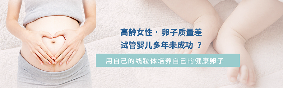 试管婴儿 banner图（图ZMzA0MzA1NDcy） - 其他网页 - 站酷设计师Z54366356原创素材 - 站酷ZCOOL