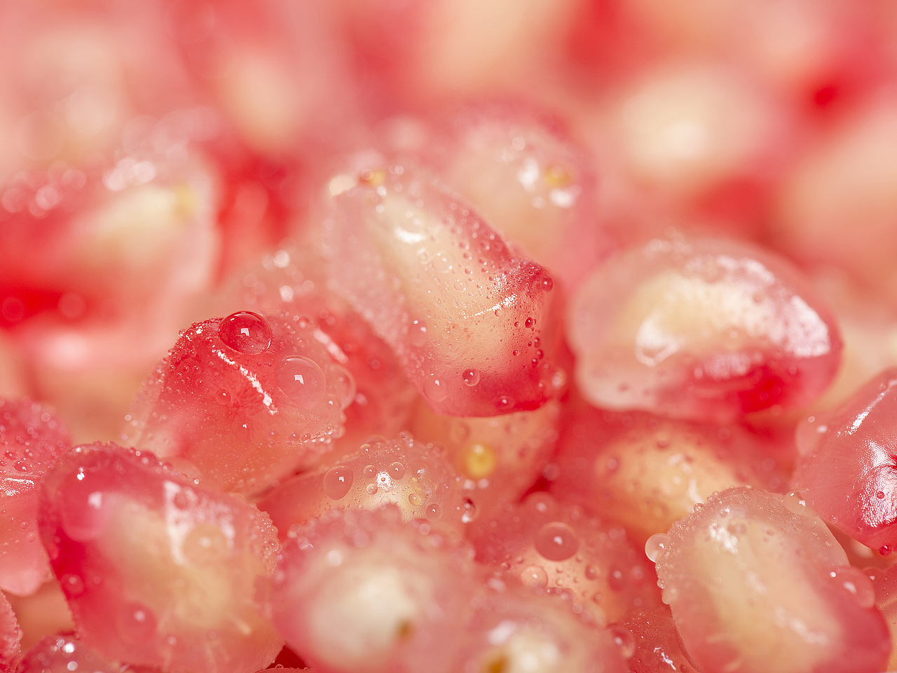 四川突尼斯红钻软籽石榴