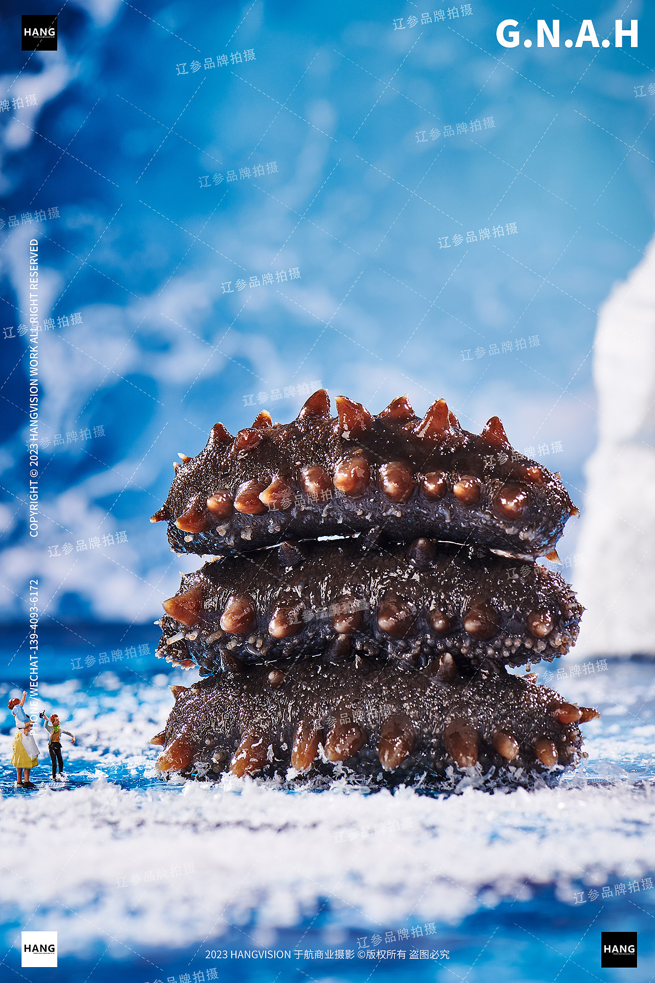 大连海参拍摄干海参即食海参辽参品牌野生海参海鲜拍摄