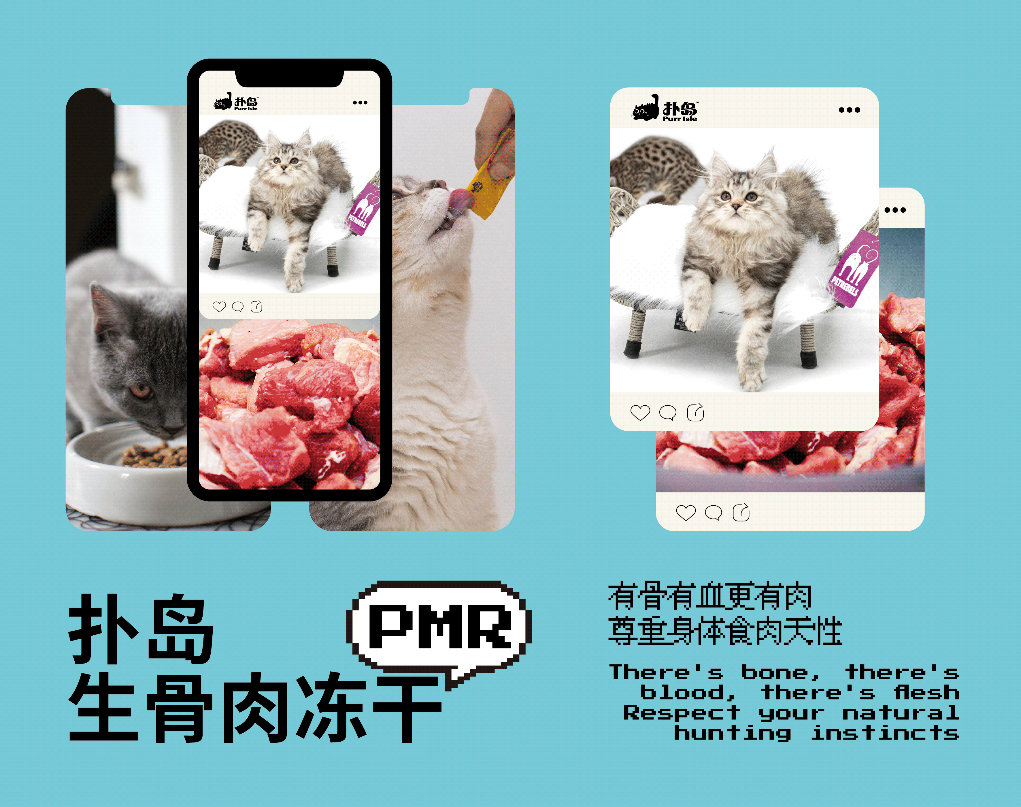 猫粮猫砂品牌设计|扑岛 Purr Isle(可转让可授权)