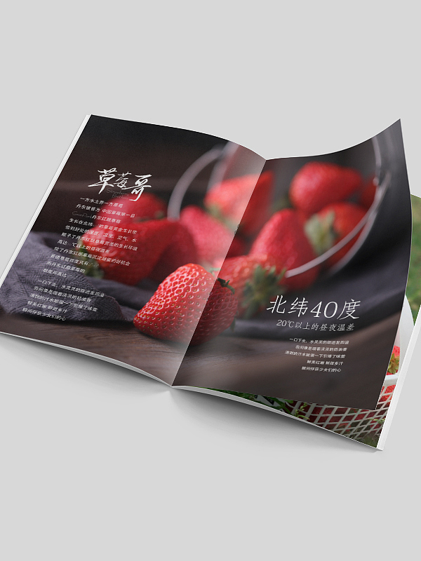 草莓的拍摄与设计（图ZMzI5NjE0NTI4） - 美食摄影 - 站酷设计师博格奥设计原创素材 - 站酷ZCOOL