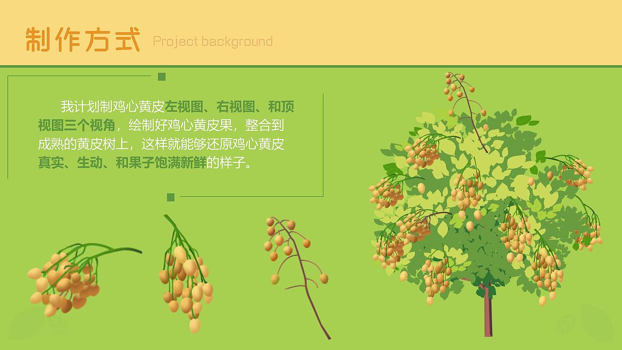 MG动画-龙颈鸡心黄皮（图ZMzMzODY2NTc2） - Motion Graphic - 站酷设计师野绿原创素材 - 站酷ZCOOL