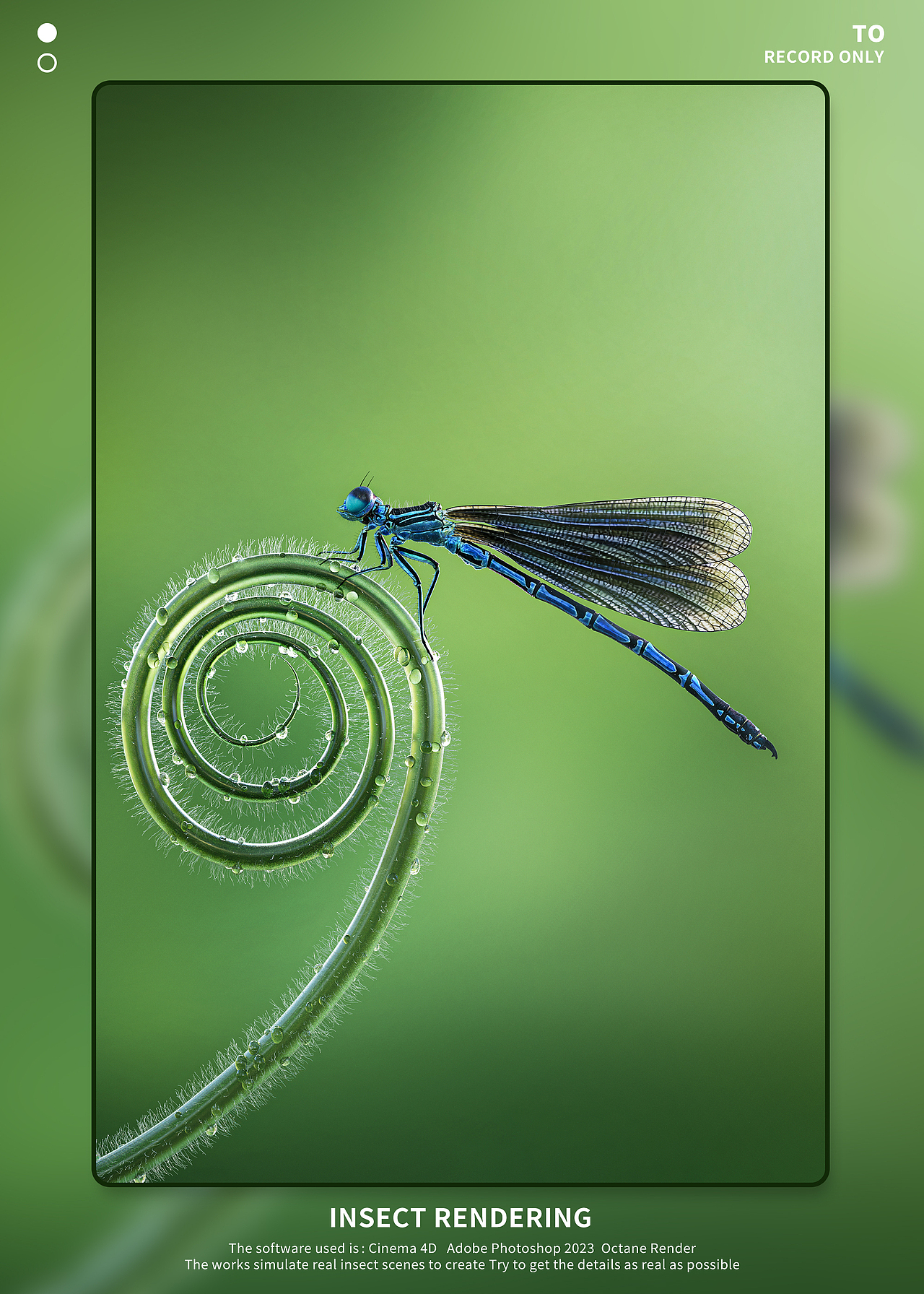 【昆虫Render】（图ZMzI1MTY4MTUy） - 人物/生物 - 站酷设计师Rxu_双木原创素材 - 站酷ZCOOL