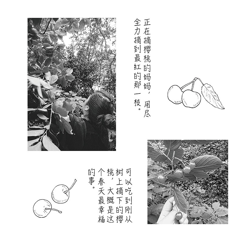 【漫画】日常食趣-樱桃酒（图ZMzI4OTAxMTA0） - 商业插画 - 站酷设计师游木虞原创素材 - 站酷ZCOOL