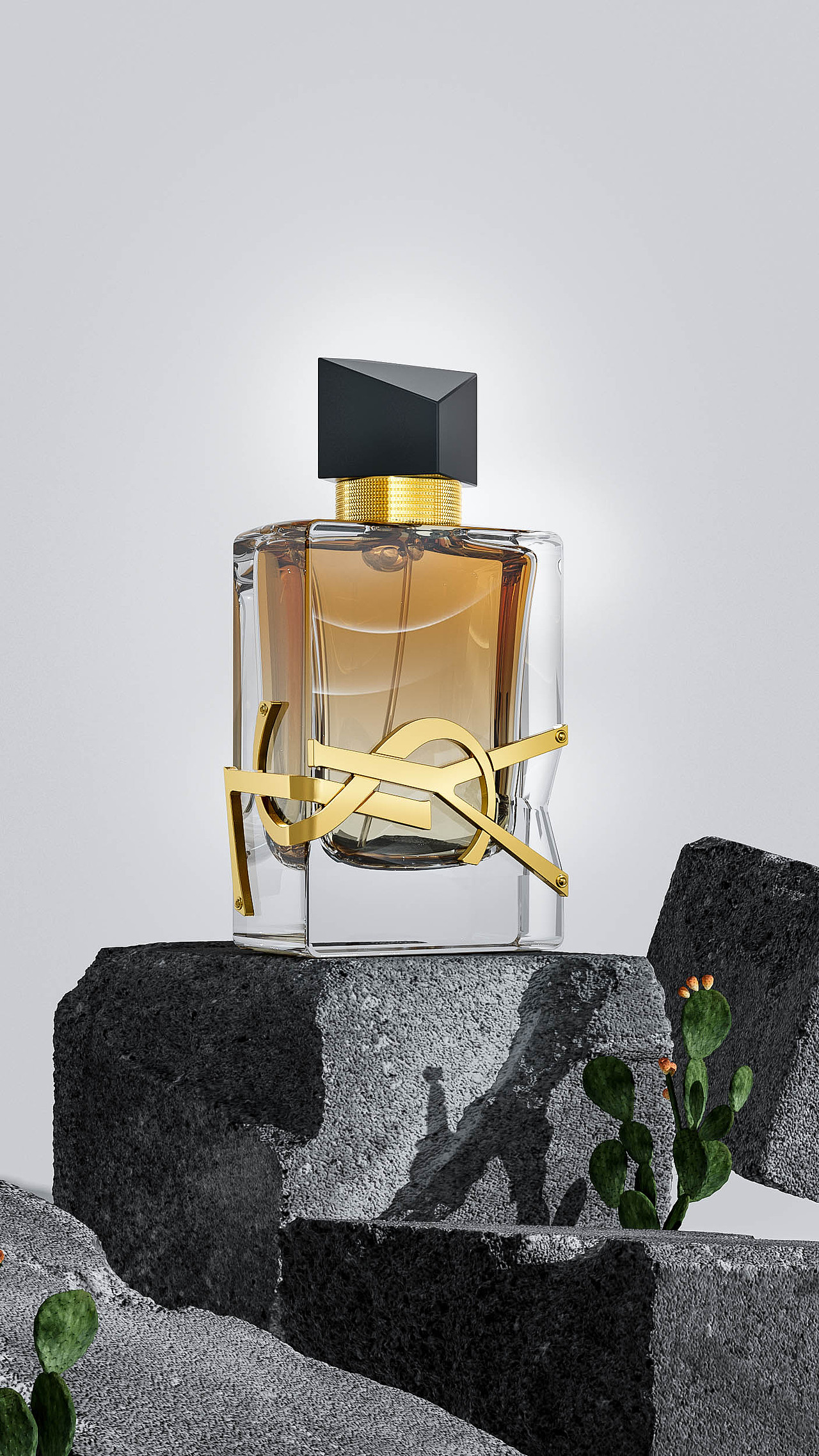 20220818不定期C4D学习记录（图ZMzEyNzM5NjQw） - 产品 - 站酷设计师卍hozia原创素材 - 站酷ZCOOL