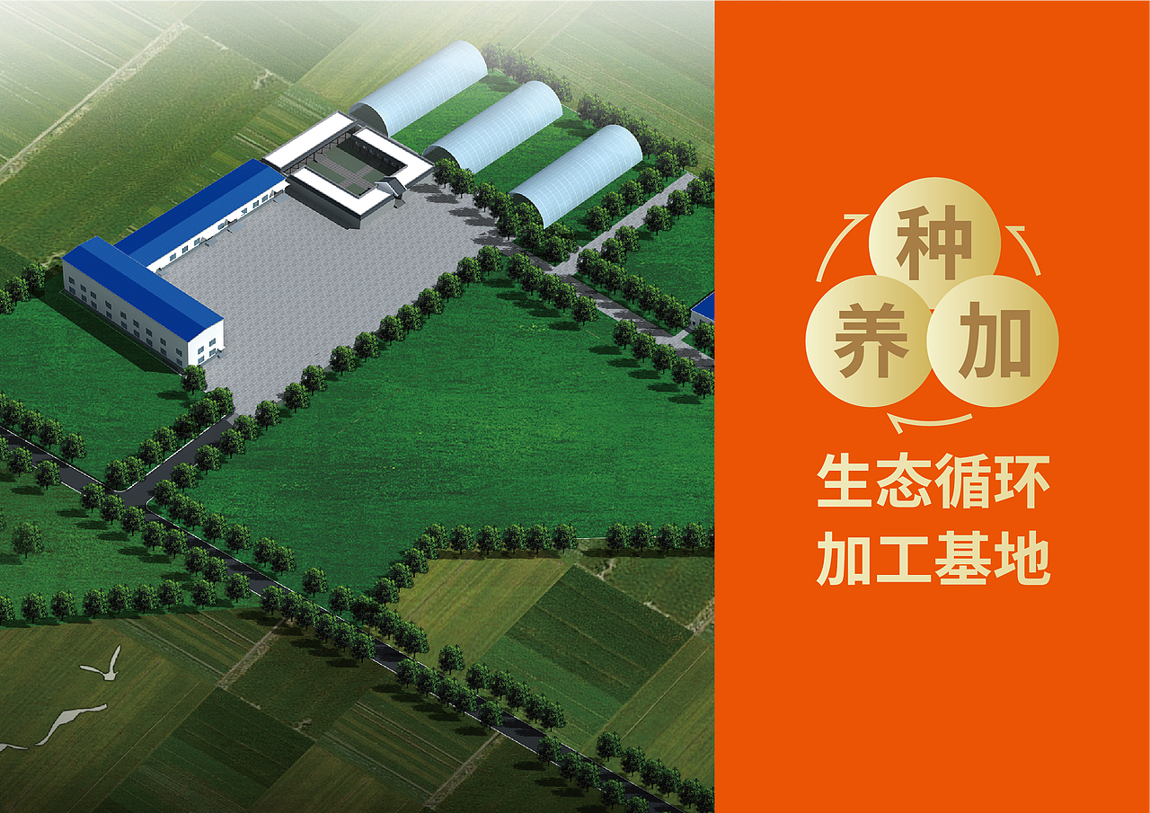 旱地红皮面粉包装设计（图ZMzYyMTU0NjUy） - 包装 - 站酷设计师元力觉醒战略包装原创素材 - 站酷ZCOOL