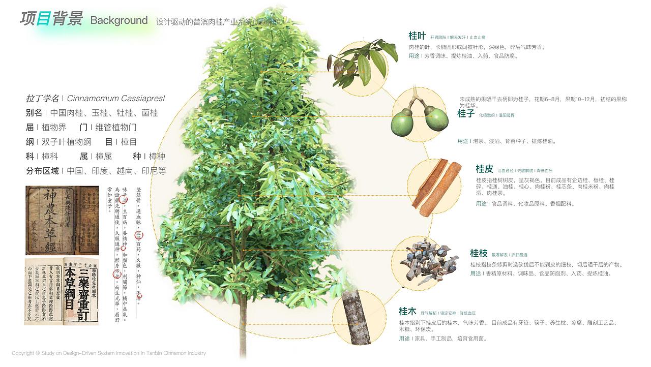 榃滨肉桂产业系统创新研究（图ZMzYzMTMwODY4） - 其他工业/产品 - 站酷设计师挽挽wiiii原创素材 - 站酷ZCOOL