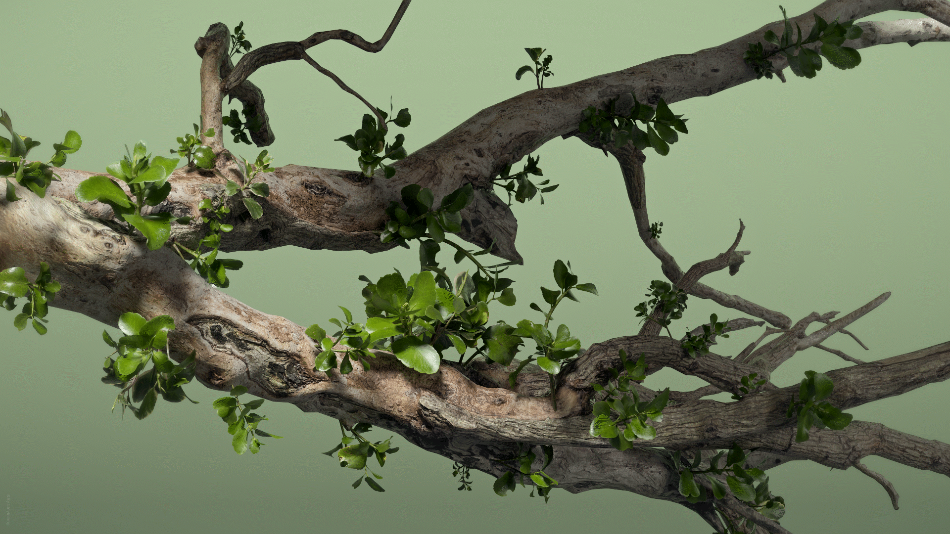 Blue tooth蓝牙耳机动态临摹 -Ⅰ