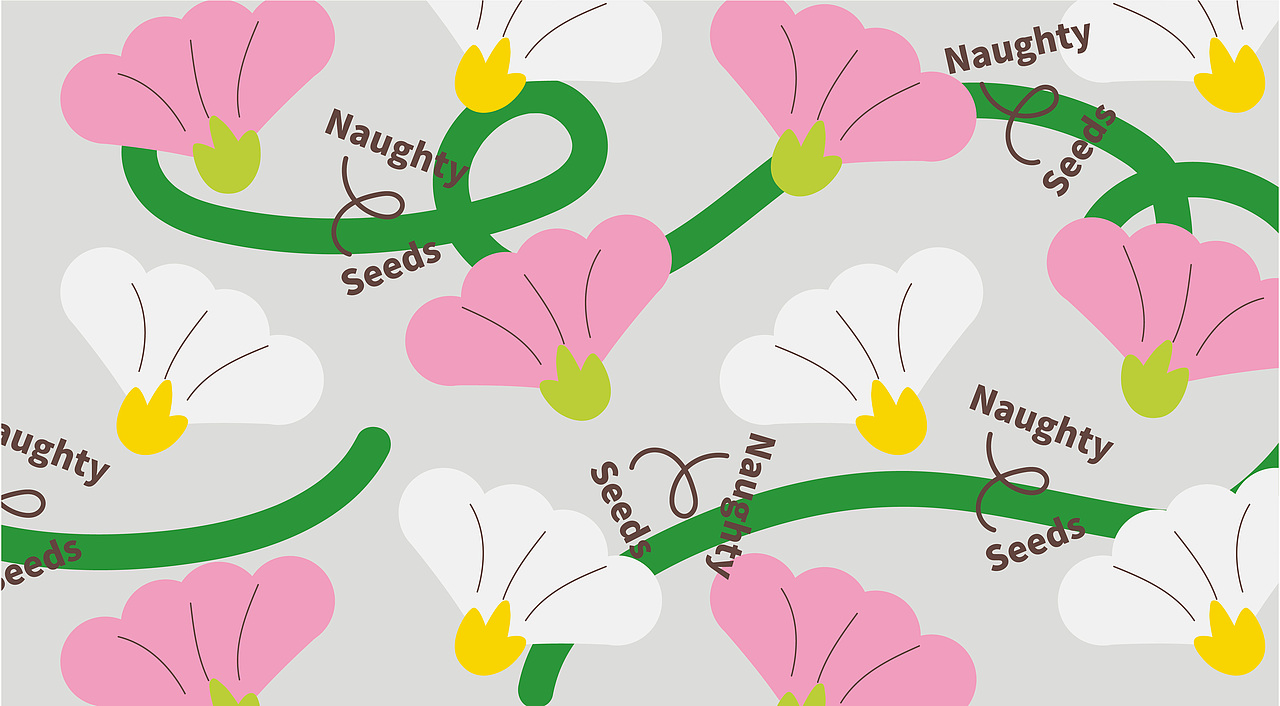 捣蛋春天Naughty Seeds｜饮品品牌全案塑造VIS策划设计（图ZMzE2NzkyMDc2） - 品牌 - 站酷设计师深林品牌原创素材 - 站酷ZCOOL