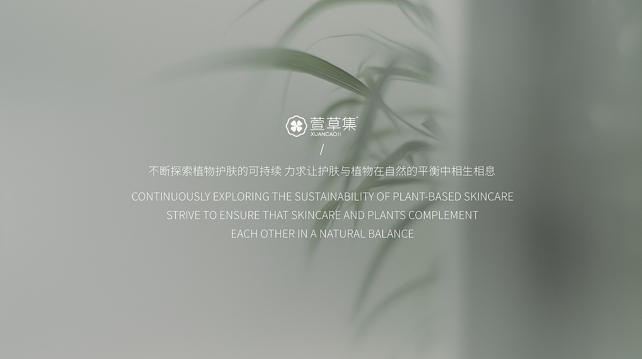 萱草集品牌升级包装升级产品升级设计